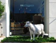 mulligans-cow